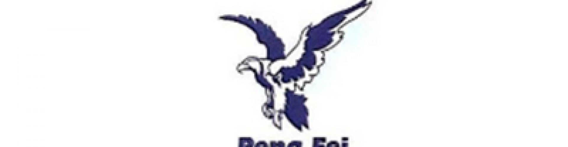 天津市鵬飛商貿有限公司